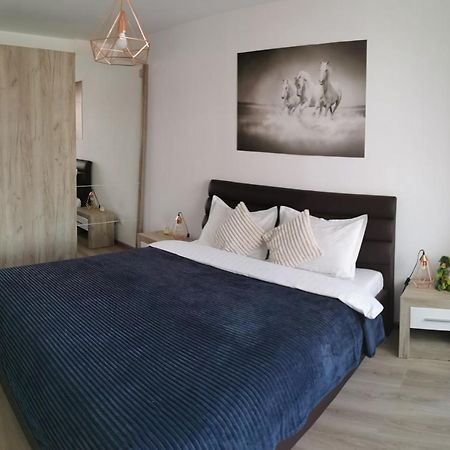 Marimonti Apartment Braszów Zewnętrze zdjęcie