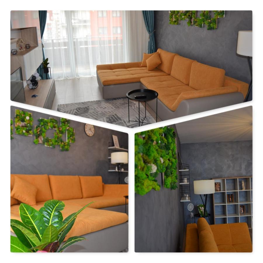 Marimonti Apartment Braszów Zewnętrze zdjęcie