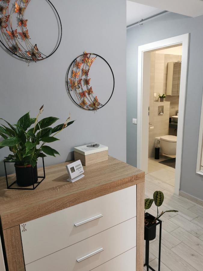 Marimonti Apartment Braszów Zewnętrze zdjęcie